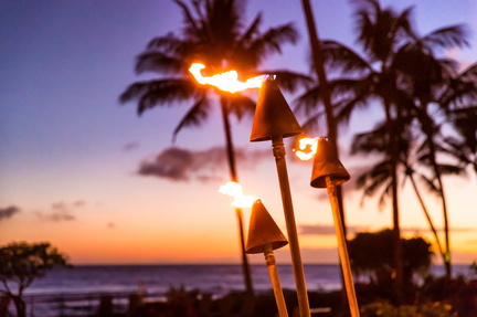 Luau