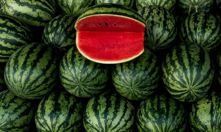 2025 Watermelon Festival