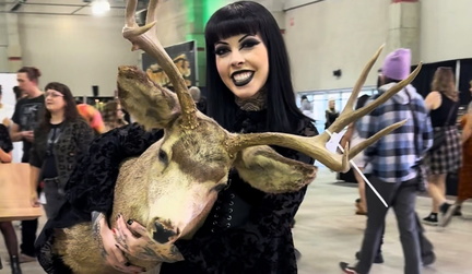 Oddities &amp; Curiosities Expo
