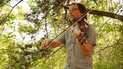 Sunday Strings on a Hill-  Will Taylor