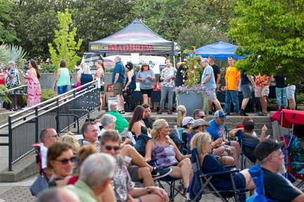 Botanical Roots Music Fest