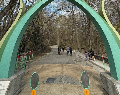 Saturday Walks with Artists
