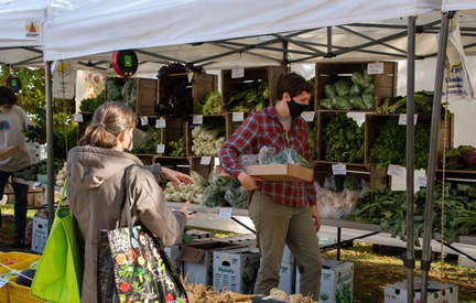 Roslindale Village Farmers Market