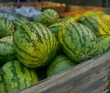 Memphis Farmers Market