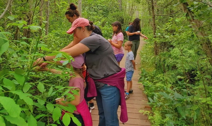 Wild Berry Ice Cream Hike