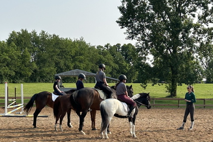 Dressage Show &amp; Clear Blue Jumper Rounds 31