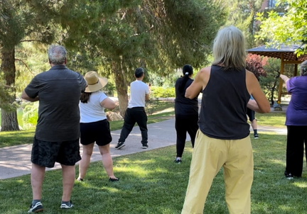 Tai Chi & Qigong Experience