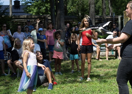 Enchanted Wild Fest