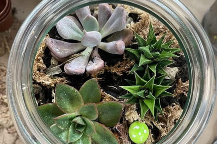 Terrarium Workshop at The Porch
