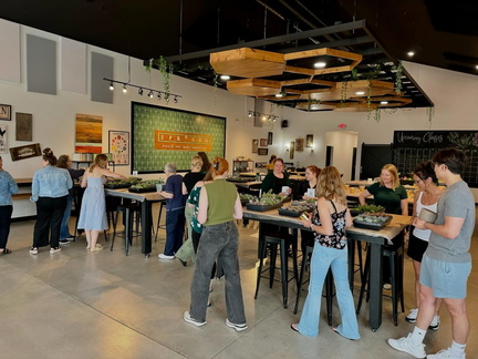 Sips &amp; Succulents Workshop