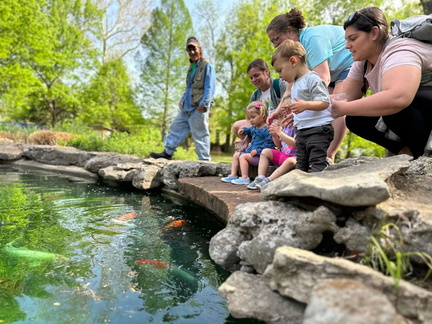 Fish Feeding