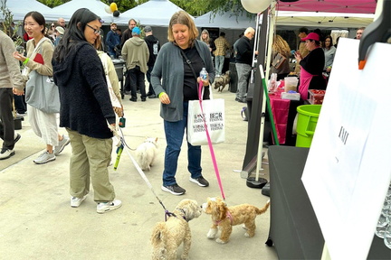 Pours for Paws First Annual Craft Beer Festival LA