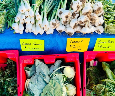 Hilldale Farmers Market