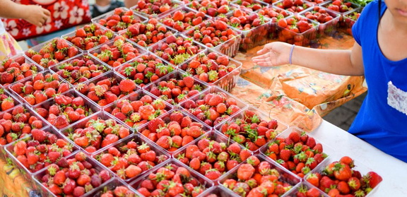 strawberries_outdoor-2