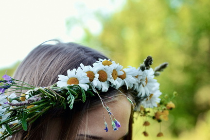 Hippie Dippie