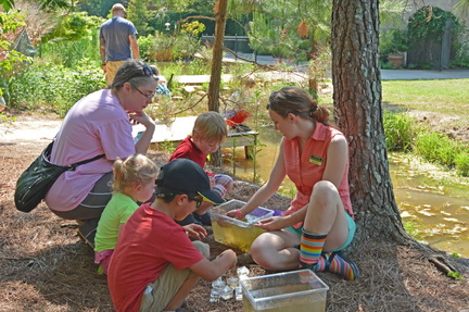Family Pond Dipping 31