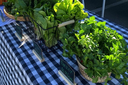 Mobile Farmers Market Mercado Móvil