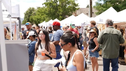 Midsummer Arts Festival