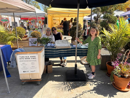 Summer Flea