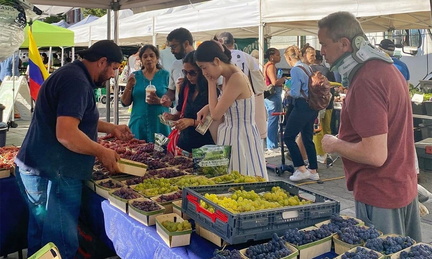 Farmers Market 31