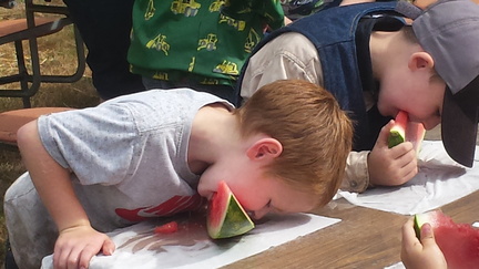 Lacamas Community Fair