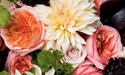 Flower Worksho Dahlia Dreams