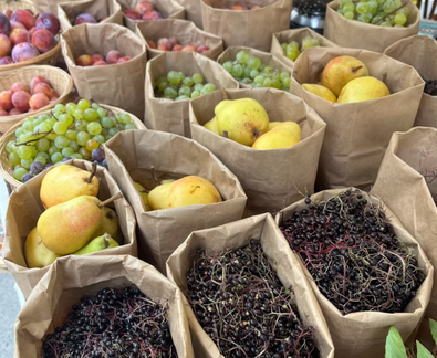 Bohemian Bum Farmer's Market