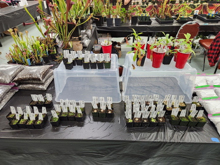 Carnivorous Plant Show &Sale