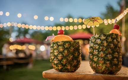 Hawaiian Party