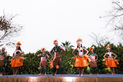 Rhythms of the Pacific Luau