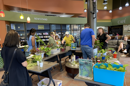 Houseplant Swap