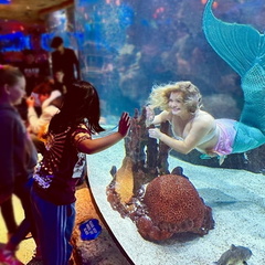 Aquarium Nashville - Mystic Mermaids Under the Sea Breakfast