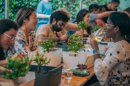 Bonsai Workshop-