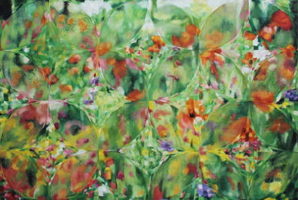 Butterflies-1024x692