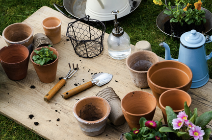 Garden Gardening