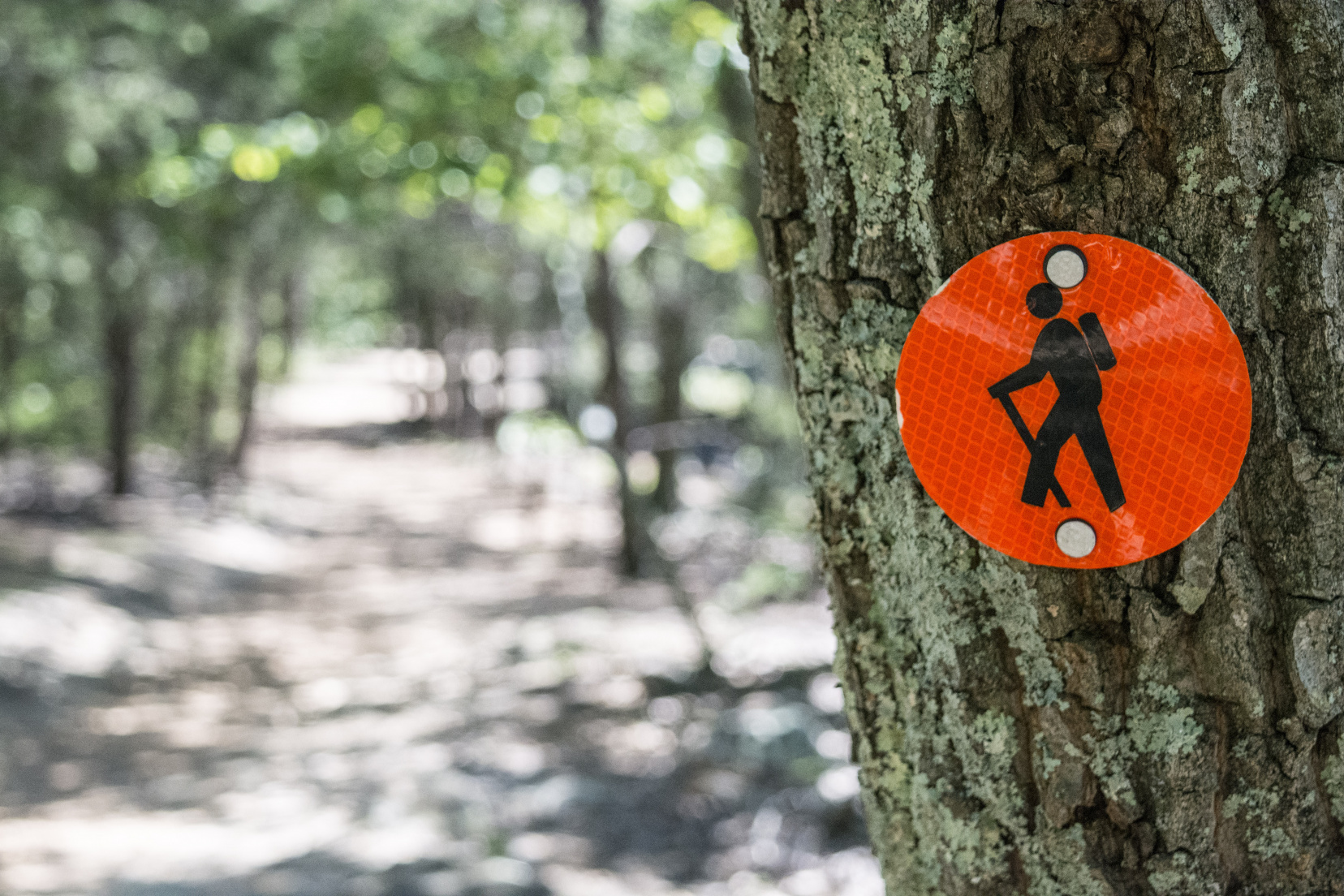 Image for Audubon Society Bird Watching Hike