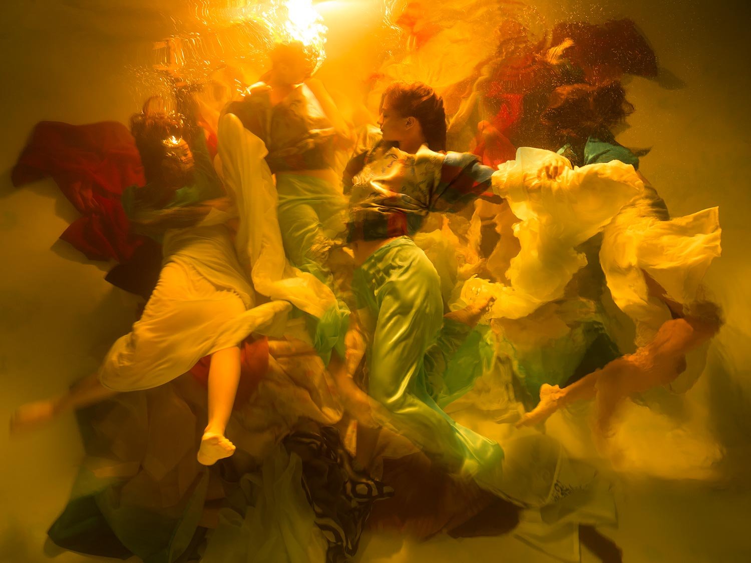 Image for Christy Lee Rogers: The Muses