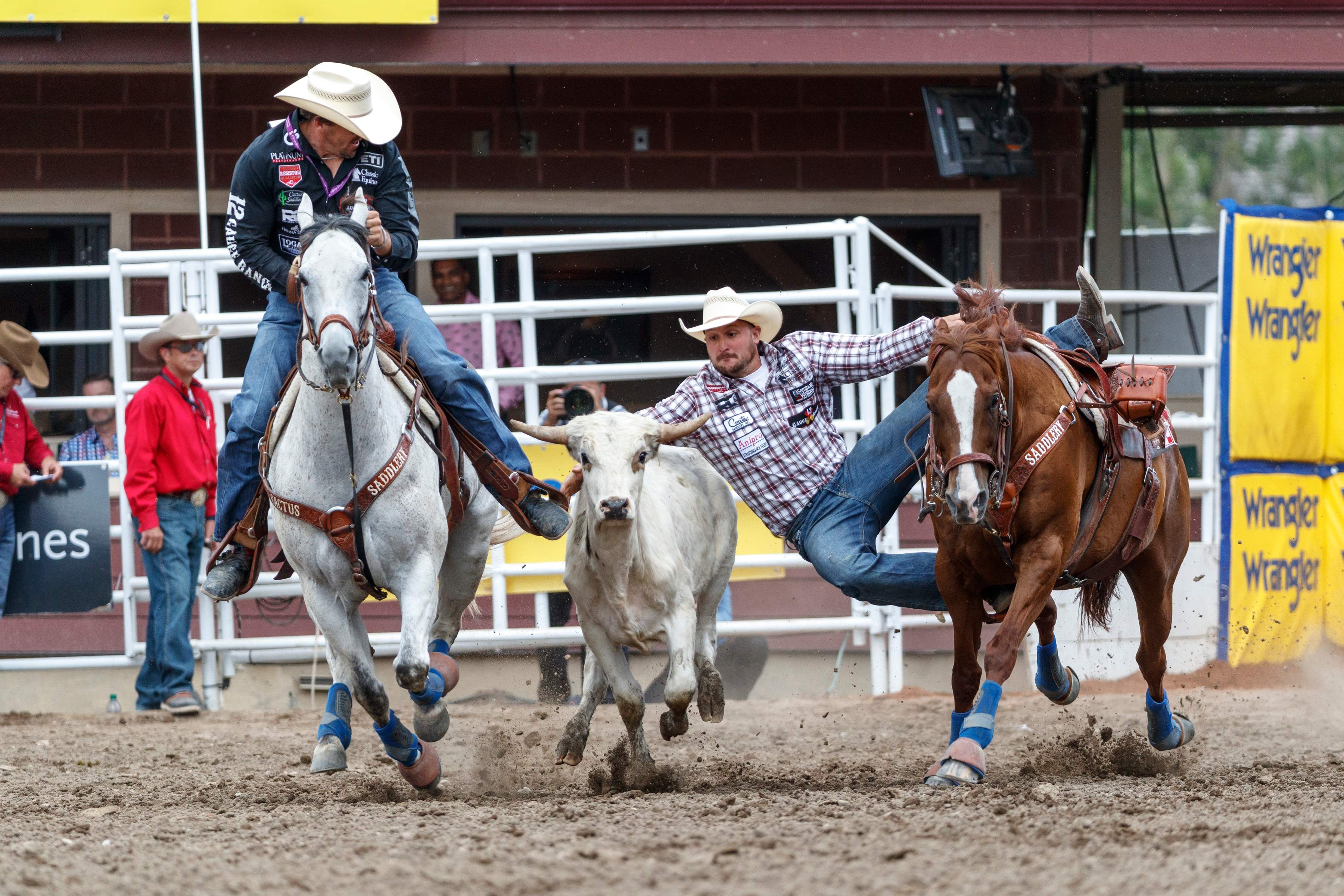 Image for Calgary Stampede