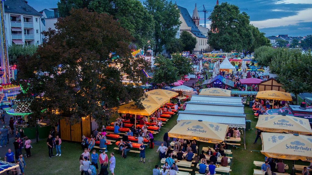 Image for Main Festival