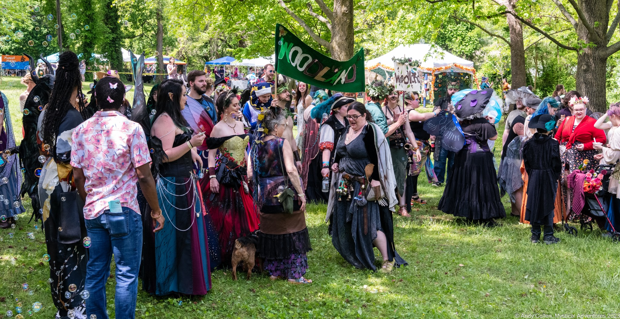 Image for Spoutwood Faerie Festival
