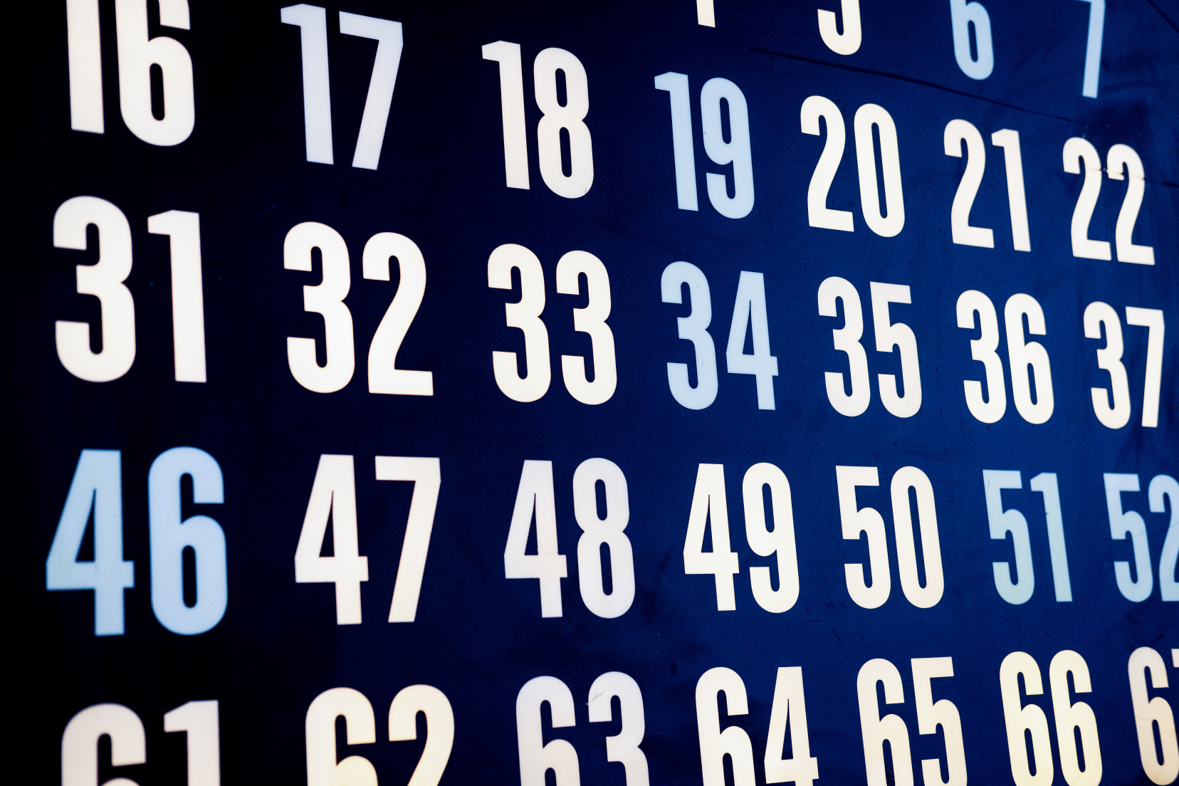 Image for Bingo Night