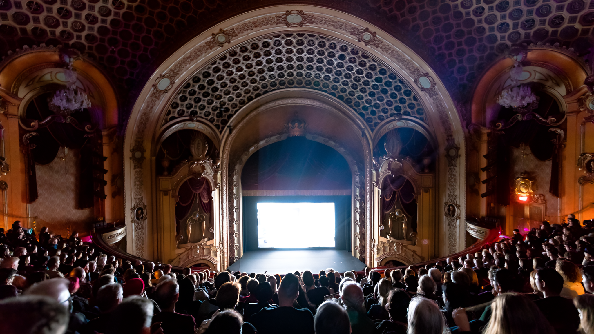 Image for Sydney Film Festival
