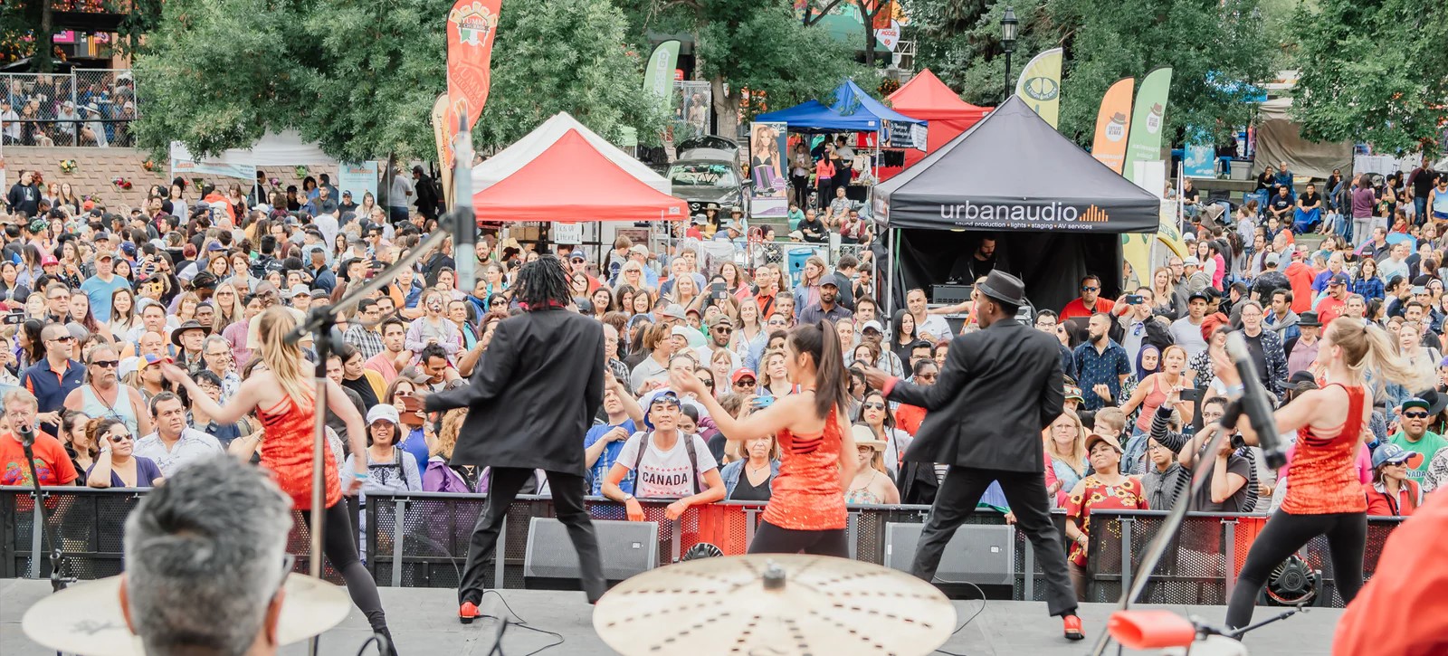 Image for Fiestaval Latino Festival