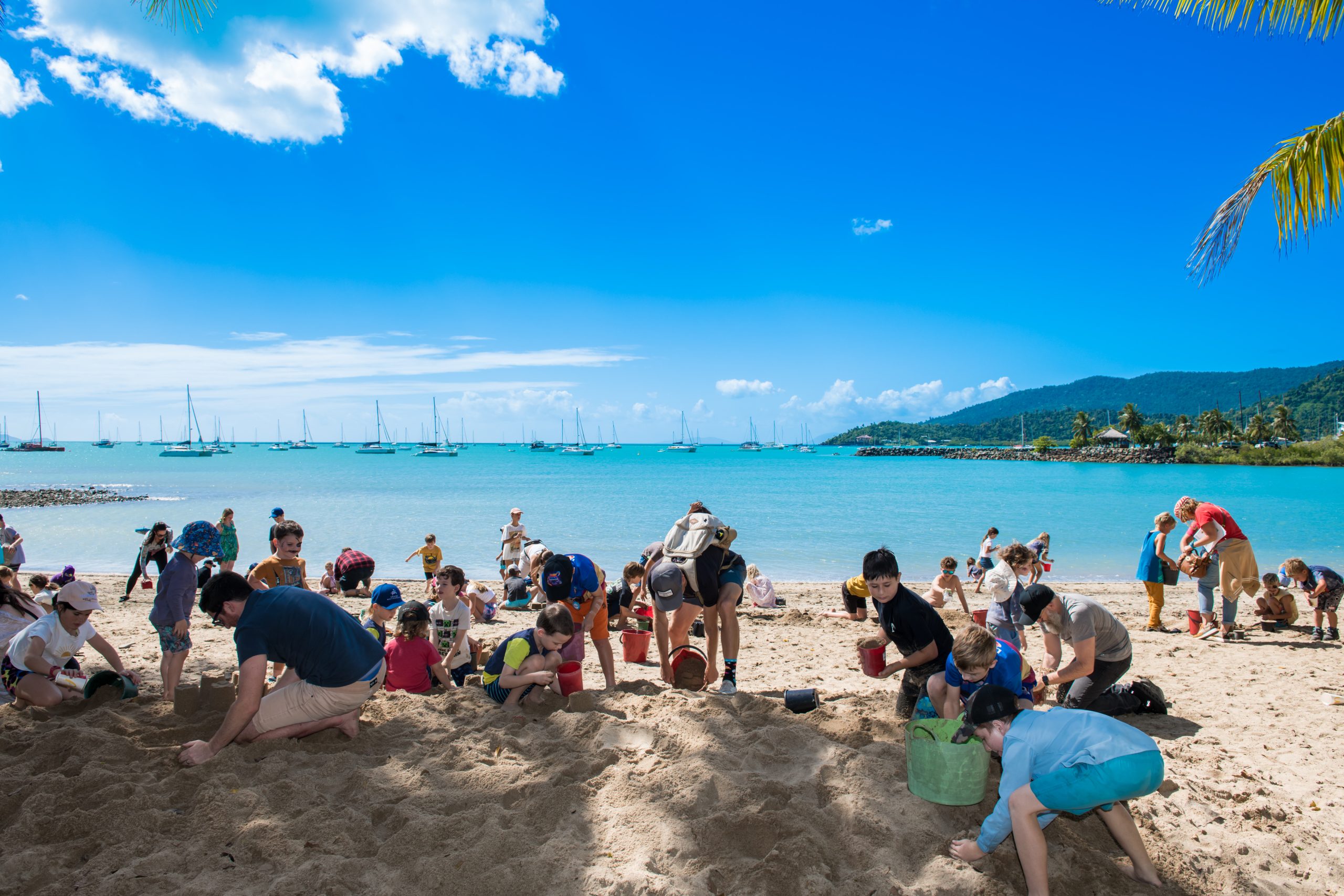 Image for Great Barrier Reef Festival