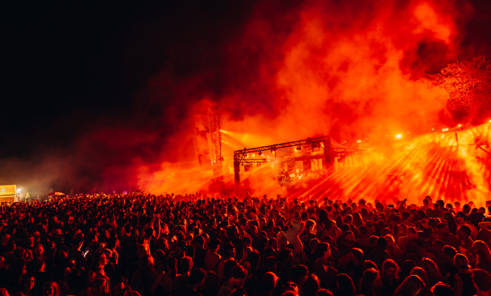 Image for Blijdorp Festival