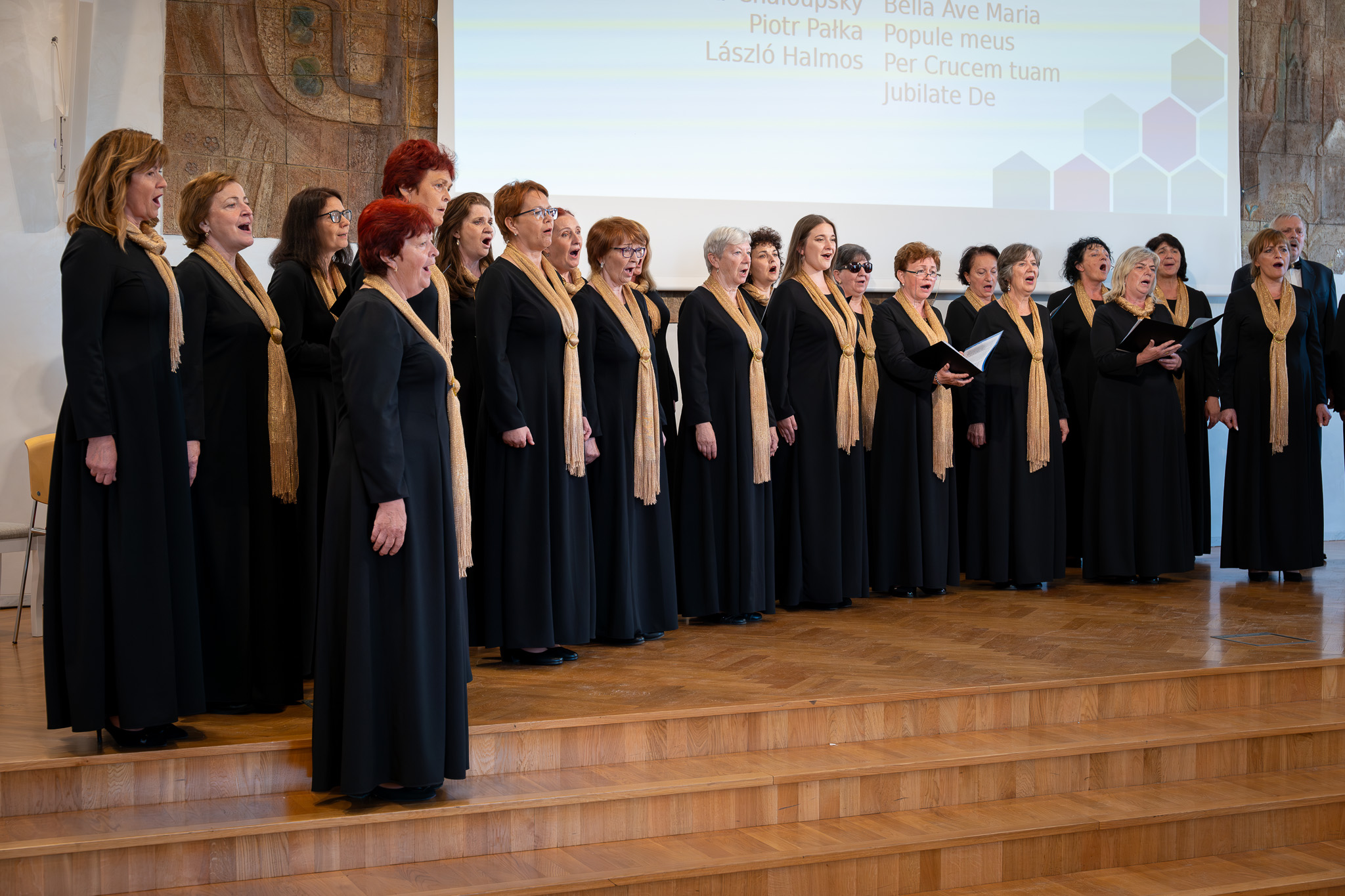 Image for Festival of Songs