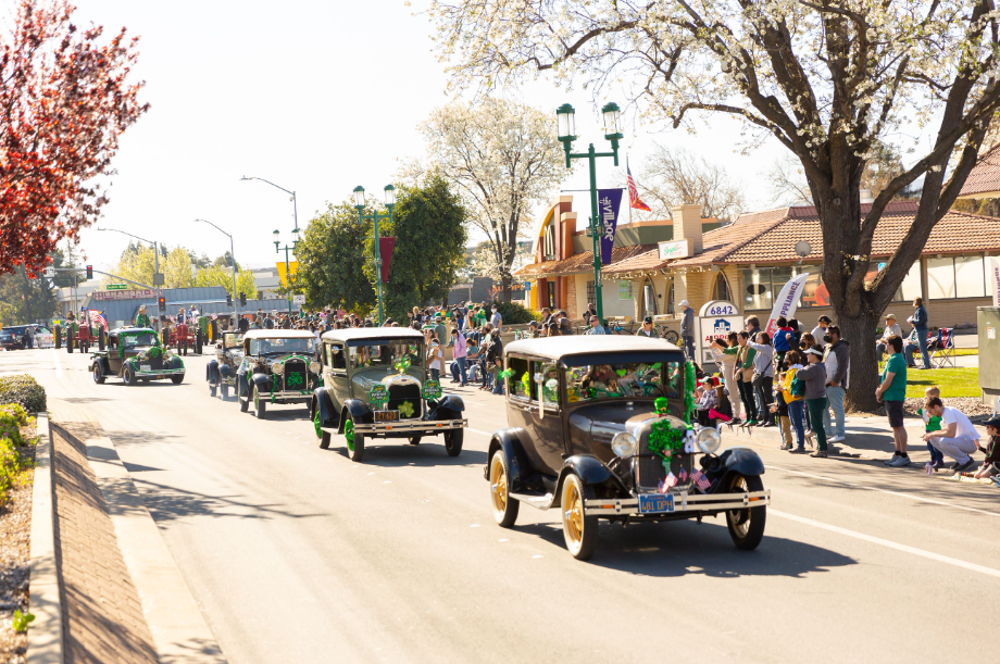 Image for St. Patrick’s Day Festival Parade