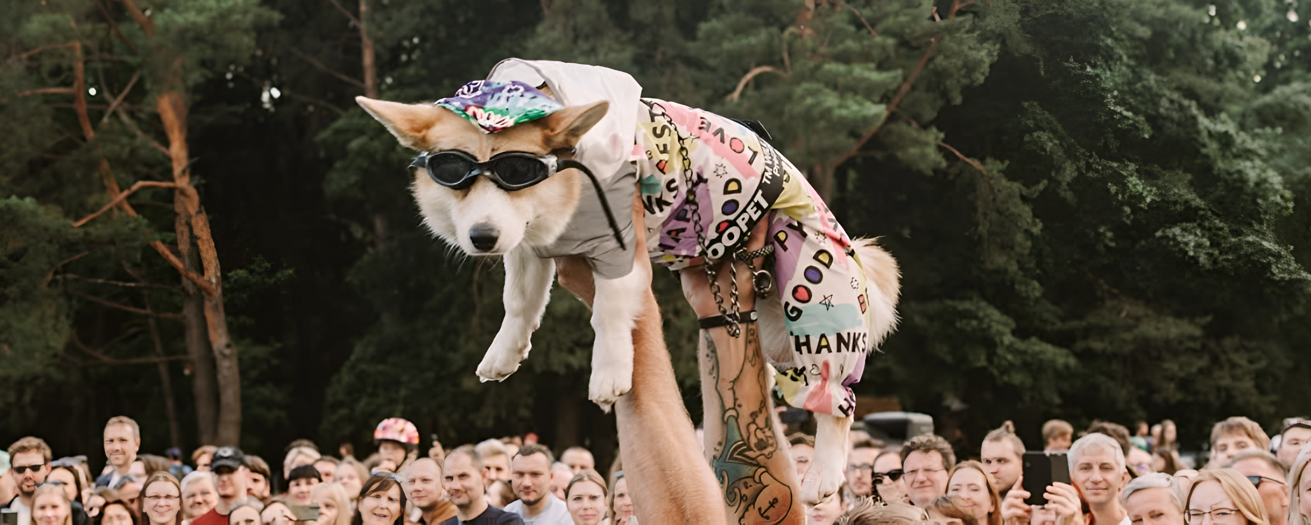 Image for Corgi Race Vilnius