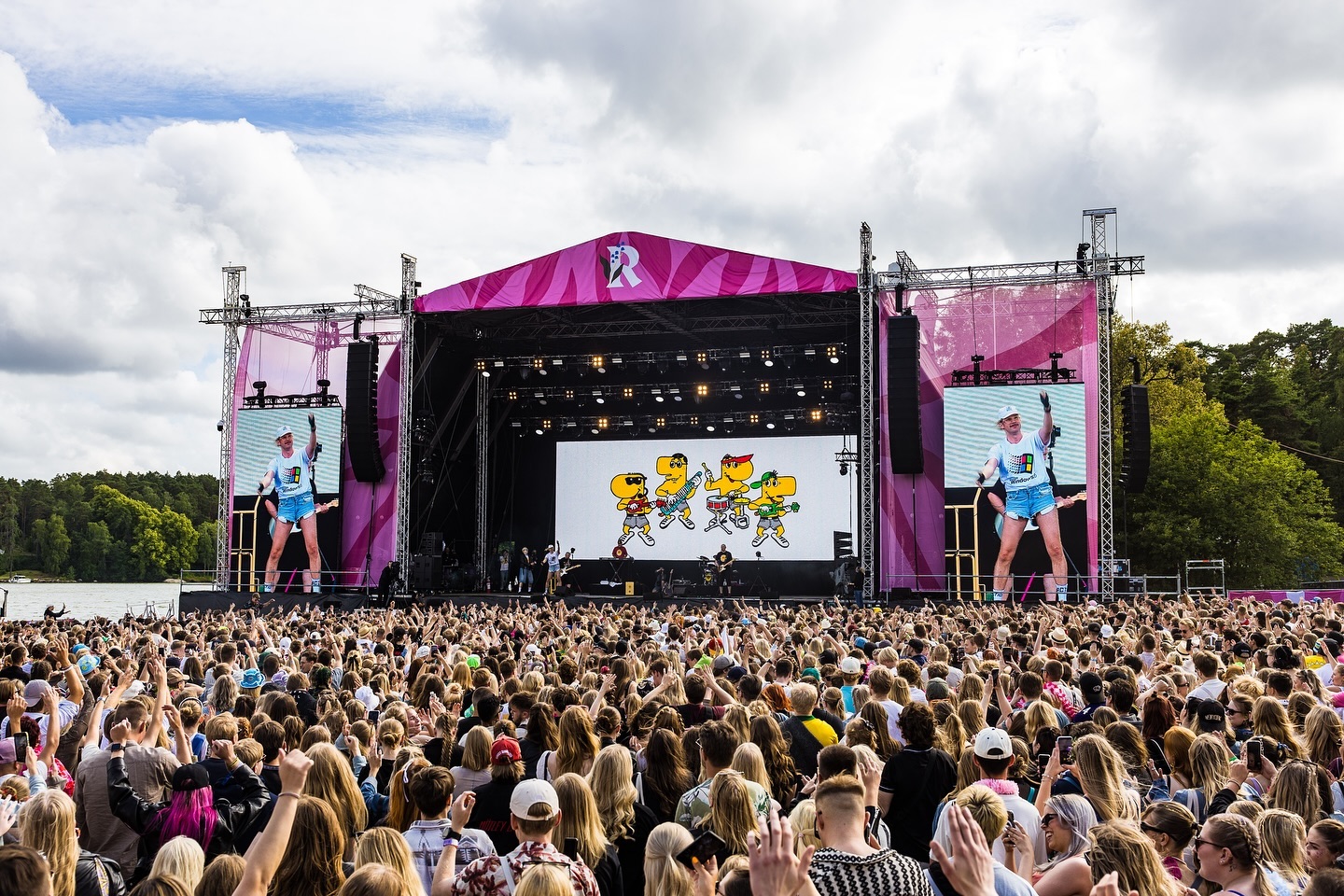 Image for Ruisrock