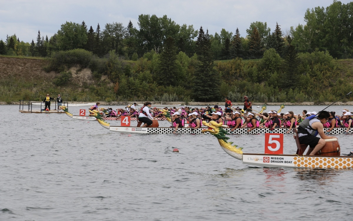 Image for Calgary Dragon Boat Race and Festival